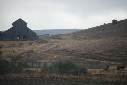 farmhouse.jpg