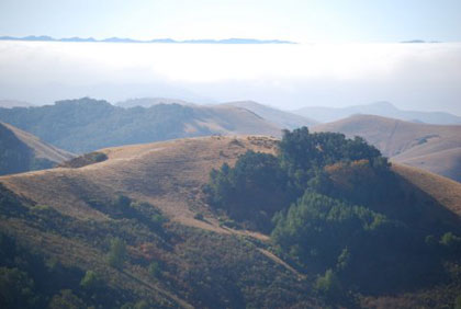 hills.jpg